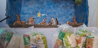Foto: 214 madres reciben paquetes alimenticios del programa de Partos Múltiples en Granada/TN8