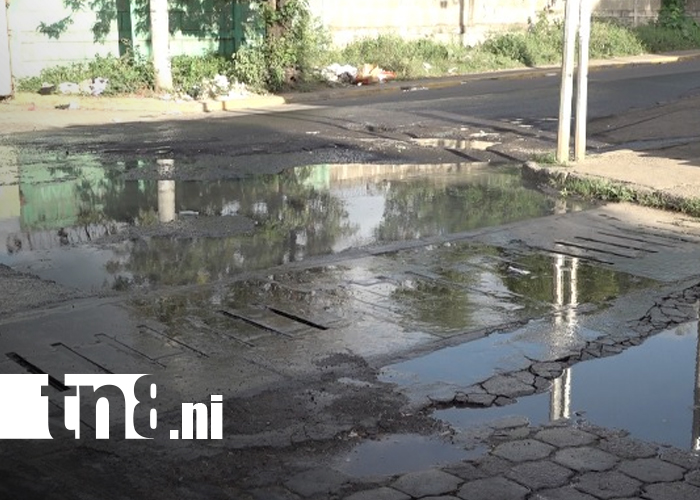 Foto: Familias del barrio Grenada ya no soportan el hedor de los manjoles en mal estado/TN8