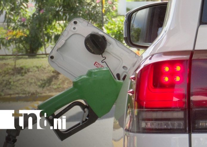 Foto: Combustibles estables para iniciar el 2026 en Nicaragua/TN8