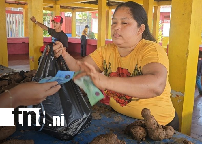 Foto: Expoferia de Fin de Año impulsa a productores de Tasba Pri y abastece a familias de Bilwi/TN8