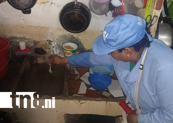 Foto: MINSA refuerza medidas preventivas contra zancudos en Tenderí/TN8