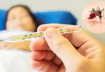 Disminuyen Casos de Dengue, Malaria, Influenza y Leptospirosis en el País Foto: Salud Reporta Menos Enfermos de Dengue, Malaria e Influenza/Cortesía