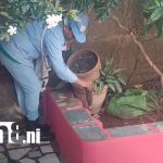 Foto: MINSA refuerza medidas preventivas contra zancudos en Tenderí/TN8
