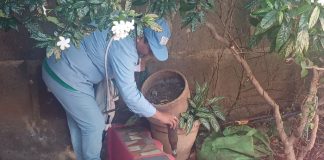 Foto: MINSA refuerza medidas preventivas contra zancudos en Tenderí/TN8