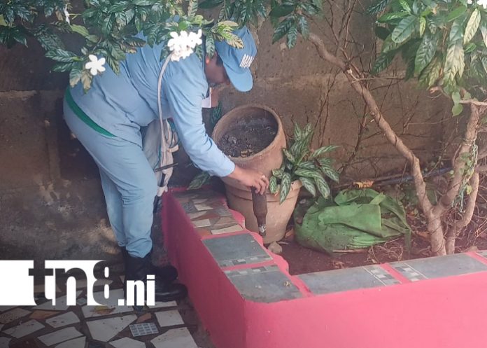 Foto: MINSA refuerza medidas preventivas contra zancudos en Tenderí/TN8