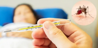 Foto: Salud Reporta Menos Enfermos de Dengue, Malaria e Influenza/Cortesía