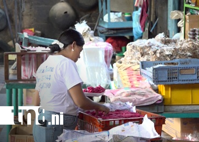 Foto: Dulces para tu paladar: tradición y sabor en Dulcería Daliana/ TN8