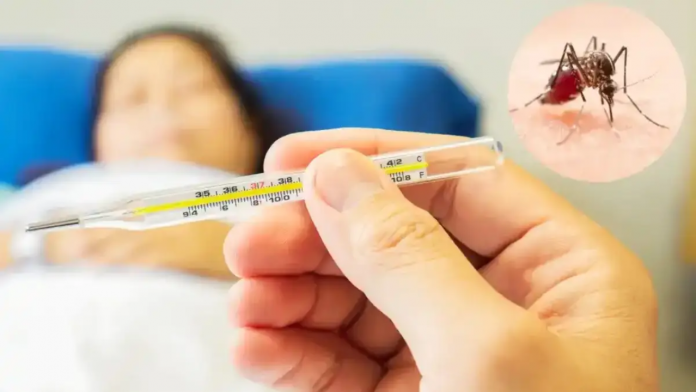 Foto: Salud Reporta Menos Enfermos de Dengue, Malaria e Influenza/Cortesía
