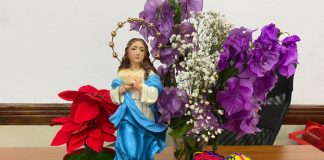 Foto: Nicaragua llega a Séptimo Día de la Novena a la Inmaculada Concepción /TN8