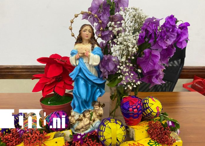 Foto: Nicaragua llega a Séptimo Día de la Novena a la Inmaculada Concepción /TN8