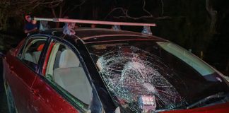 Foto: Accidente en Rivas deja una mujer muerta y un herido/ TN8