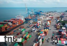 Foto: Exportaciones de Nicaragua, tema en Estudio TN8
