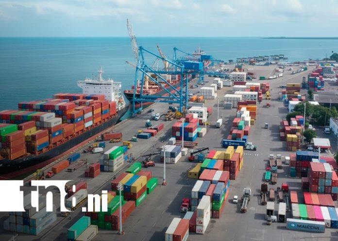 Foto: Exportaciones de Nicaragua, tema en Estudio TN8