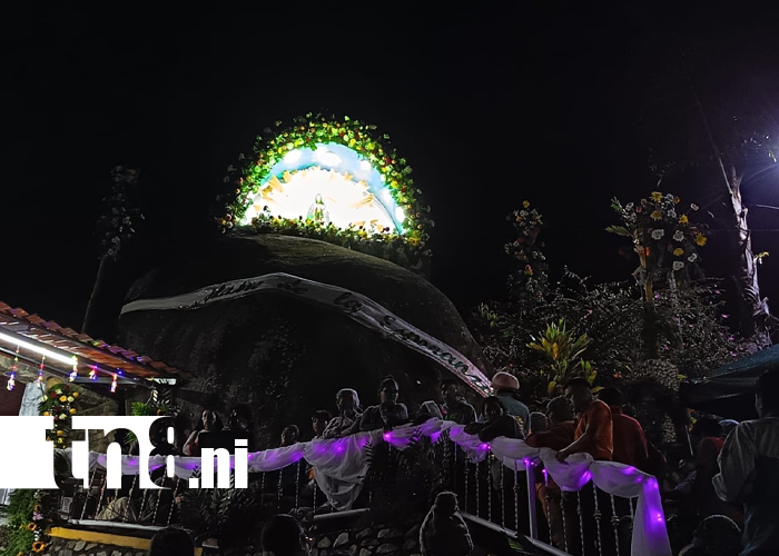Foto: ¡Feliz cumpleaños Virgen de Guadalupe! /TN8