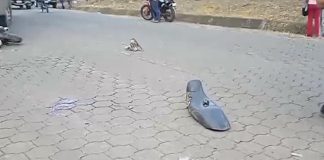 Foto: Motociclista muere tras colisión frontal con camión en Matagalpa /TN8