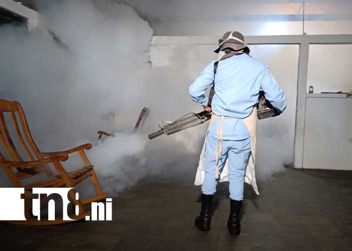 Foto: Fumigación y abatización por Managua / TN8