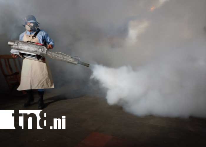 Foto: Fumigación y abatización por Managua / TN8