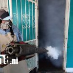 Foto: Fumigación y abatización por Managua / TN8