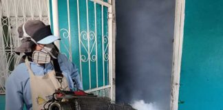 Foto: Fumigación y abatización por Managua / TN8
