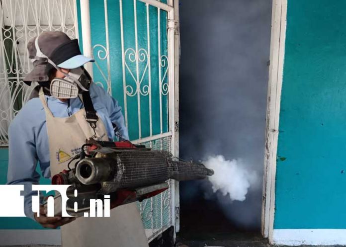 Foto: Fumigación y abatización por Managua / TN8