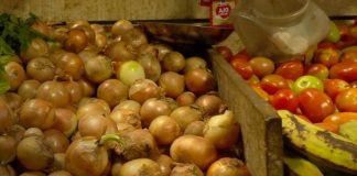 Foto: Canasta básica y sus variaciones de precios en Nicaragua / TN8
