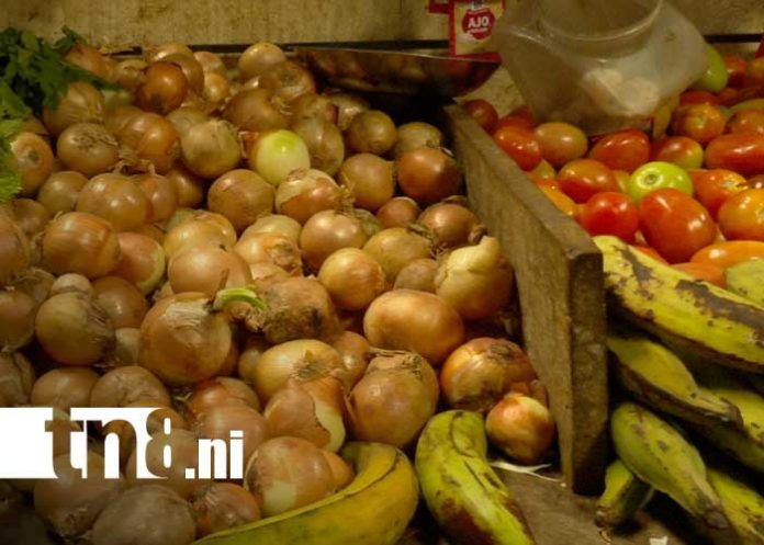 Foto: Canasta básica y sus variaciones de precios en Nicaragua / TN8 Foto: Canasta básica y sus variaciones de precios en Nicaragua / TN8