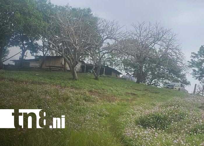 Foto: Hecho sangriento en Rivas / TN8