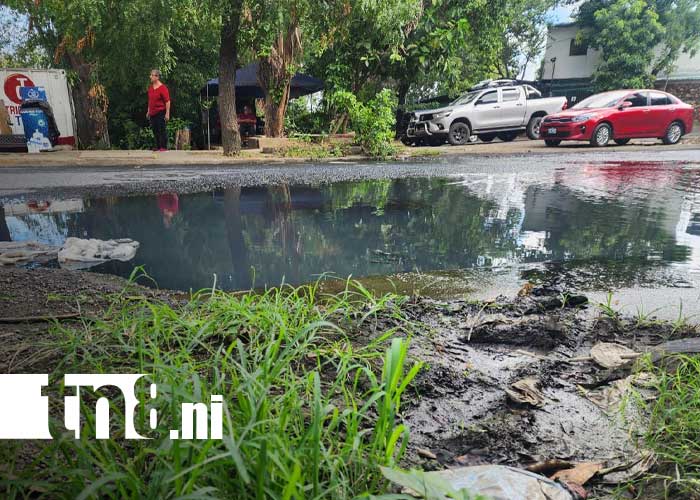 Foto: Aguas negras en la Colonia Centroamérica, Managua / TN8
