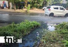 Foto: Aguas negras en la Colonia Centroamérica, Managua / TN8