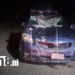 Foto: Accidentes por animales en las vías de Jalapa / TN8