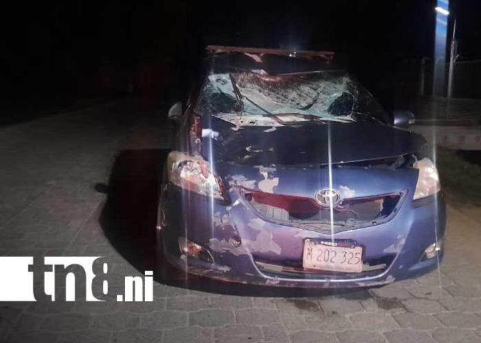 Foto: Accidentes por animales en las vías de Jalapa / TN8