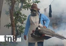 Foto: Fumigación y abatización en San Judas, Managua / TN8