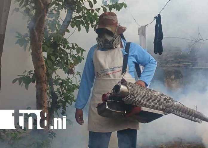 Foto: Fumigación y abatización en San Judas, Managua / TN8 Foto: Fumigación y abatización en San Judas, Managua / TN8
