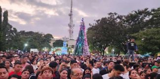 Foto: Celebración de La Gritería en León / TN8