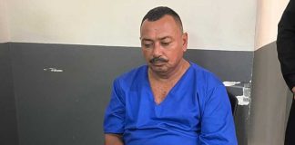 Foto: Las 5 noticias más virales del año en TN8 /TN8