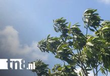 Pronostican vientos fuertes y descenso de temperaturas en Nicaragua