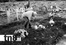 Tragedia en Pantasma: Padre que desenterró a su hijo se quita la vida Foto: Padre que desenterró a su hijo en Pantasma, Jinotega, se quita la vida / TN8
