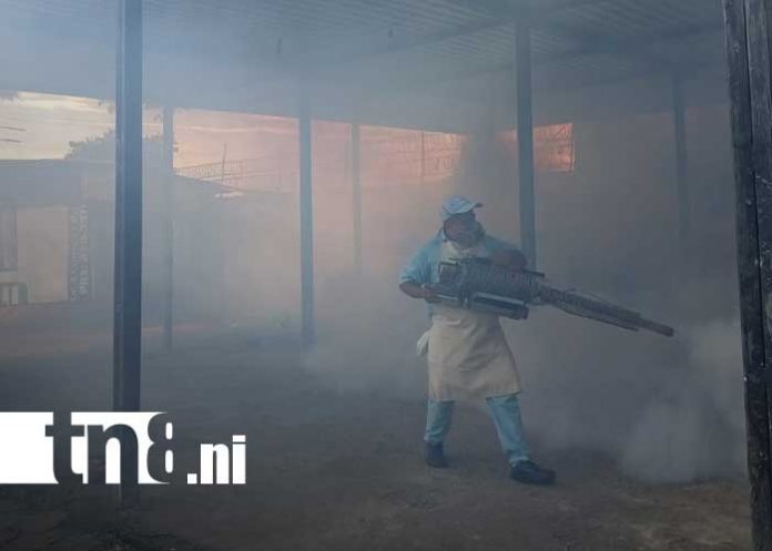 Foto: Fumigación y abatización en barrios de Managua / TN8