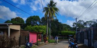 Foto: Hombre induce a su hermana a ingerir veneno en Rivas / TN8