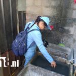 Habitantes del barrio Las Américas 1 se suman a la lucha antiepidémica Foto: Vecinos de Las Américas 1 luchan contra el dengue /TN8