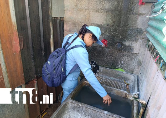 Foto: Vecinos de Las Américas 1 luchan contra el dengue /TN8