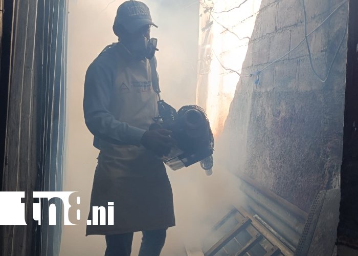 Foto: Vecinos de Las Américas 1 luchan contra el dengue /TN8