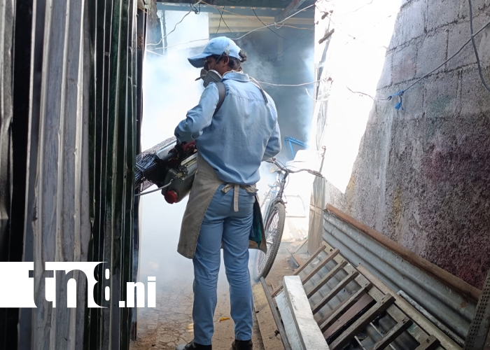 Foto: Vecinos de Las Américas 1 luchan contra el dengue /TN8