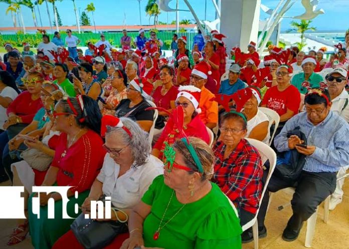 Foto: Festival para los adultos mayores en Managua / TN8