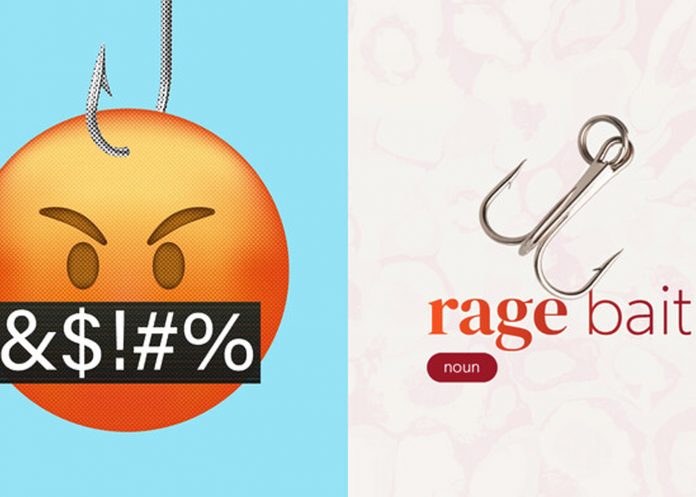 Foto: “Rage bait” y “parasocial”, las palabras del año /Cortesía