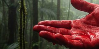 Foto: Hechos sangrientos en Bocay, Jinotega / TN8