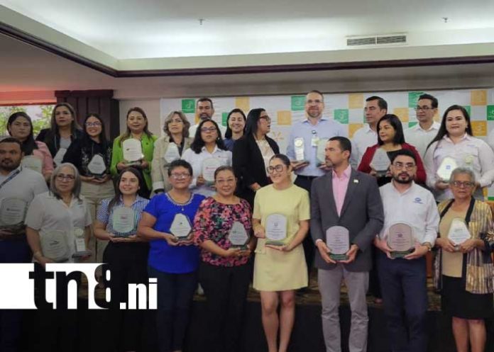Foto: Walmart de Nicaragua y Banco de Alimentos / TN8