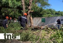 Foto: Ejercicio Nacional Multiamenazas de Nicaragua, desde Managua / TN8