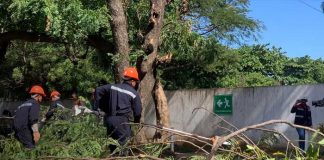 Foto: Ejercicio Nacional Multiamenazas de Nicaragua, desde Managua / TN8