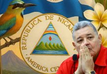 Absalón Pastora: «La lucha actualmente es por la sobrevivencia de la especie humana»